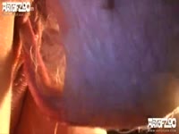 Art of Zoo - Outdoor dog sex with a bitch